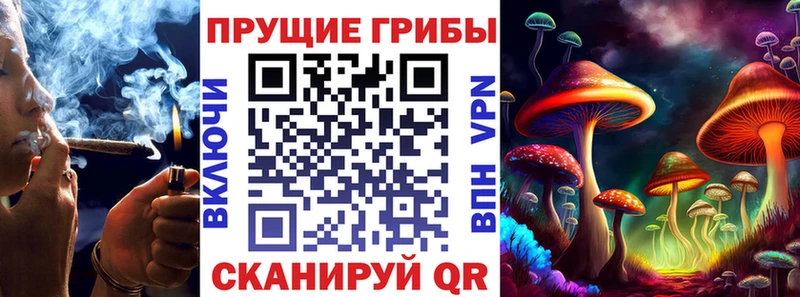 Псилоцибиновые грибы Psilocybine cubensis Торопец
