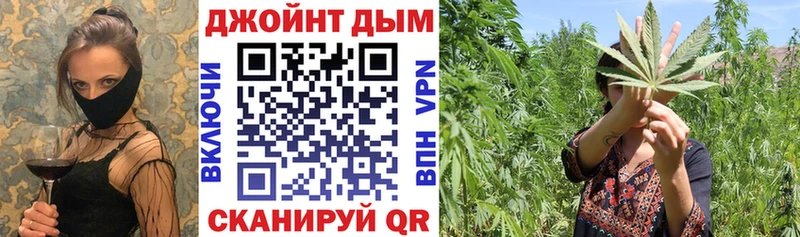 KRAKEN ONION Торопец Канабис планчик